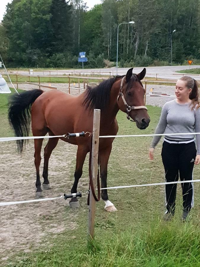 Myskje Gård Gästgiveri Soderala Eksteriør bilde